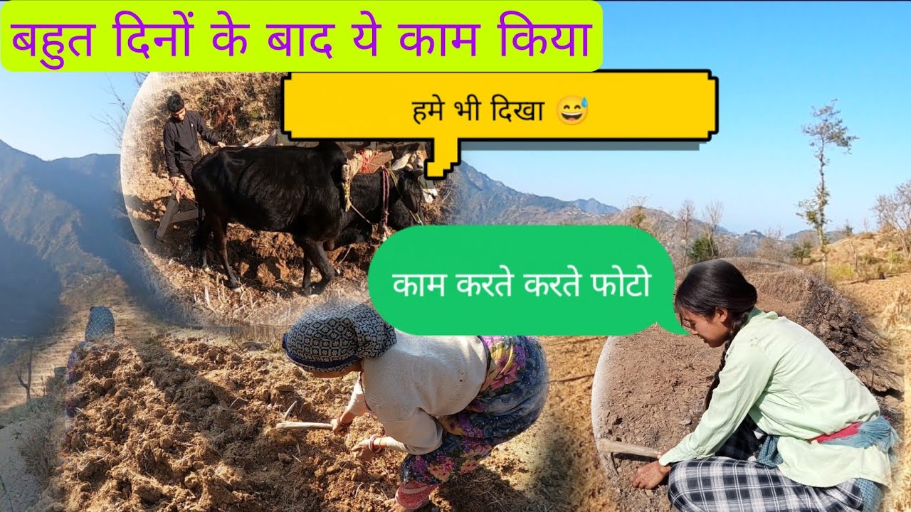 गांव में खेतों का कम शुरु village life |@AmitRawatUk13Vlog