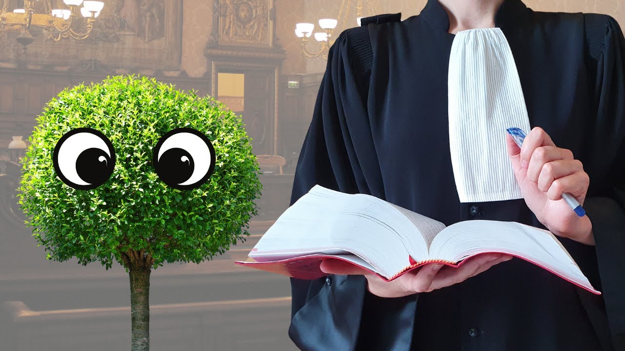 La nature a-t-elle des droits ? - 911 AVOCAT