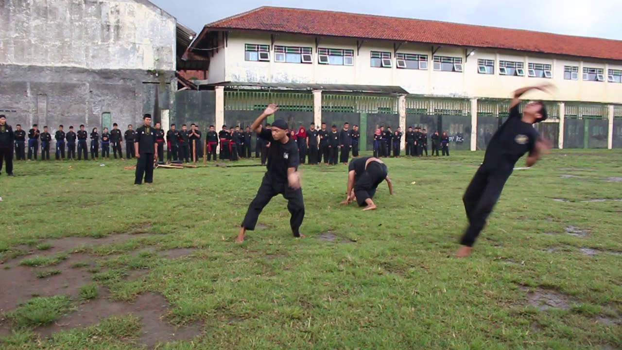 KEHEBATAN TENAGA DALAM !!! Melumpuhkan Tanpa Menyentuh !!! - WS Pamungkas