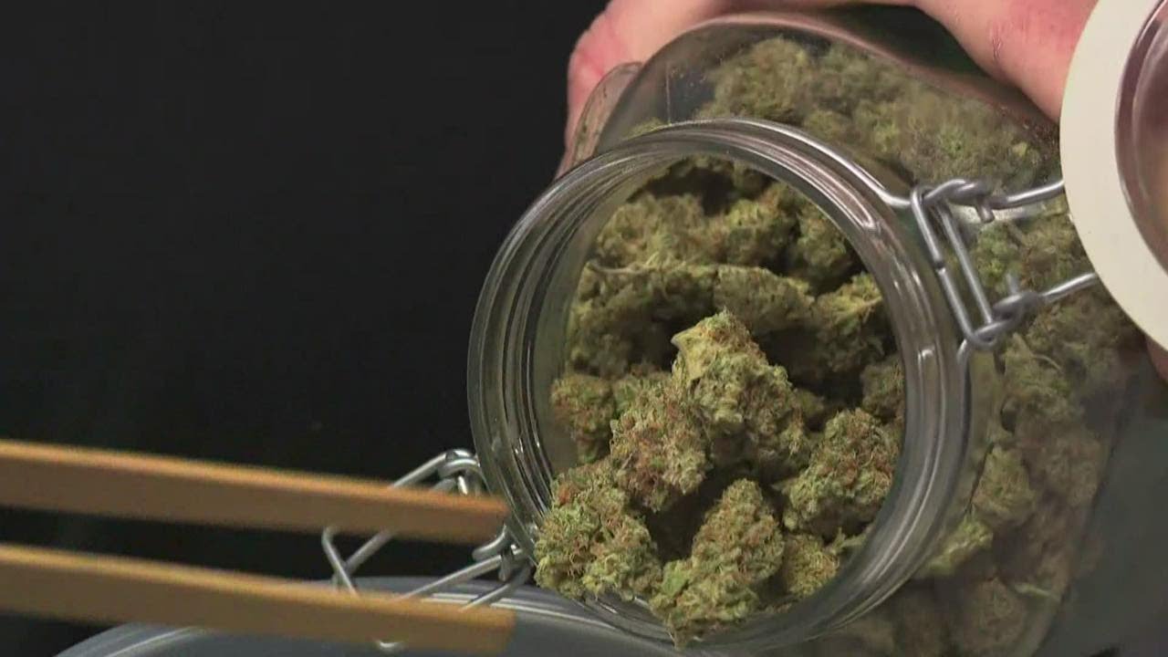 Michigan marijuana industry thriving during pandemic