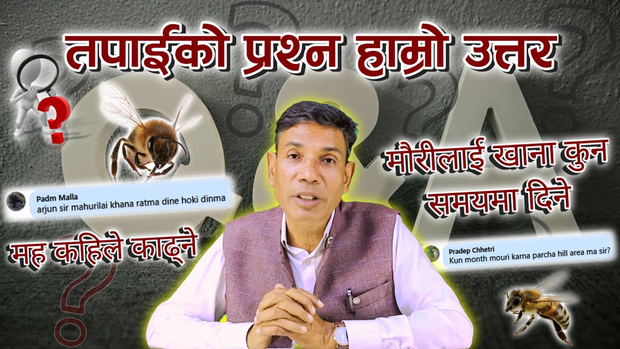 कुईन सेल निर्माण पछि कति दिनमा घार फुटाउने || रानी हुदा हुदै मौरी वितपाते हुन्छ र || EP - 20