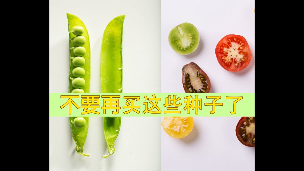 不要花冤枉钱买种子！Grow vegetable from Store Bought Veg/(ENGLISH - SUB)