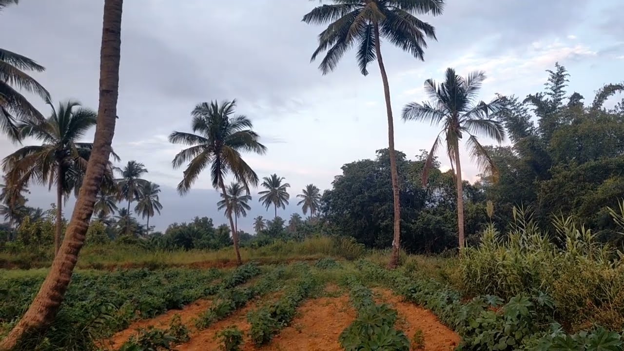1 Acre 1 kunta +10 kunta kharab farmland at Harohalli, 1Cr Per acre , 9164958555