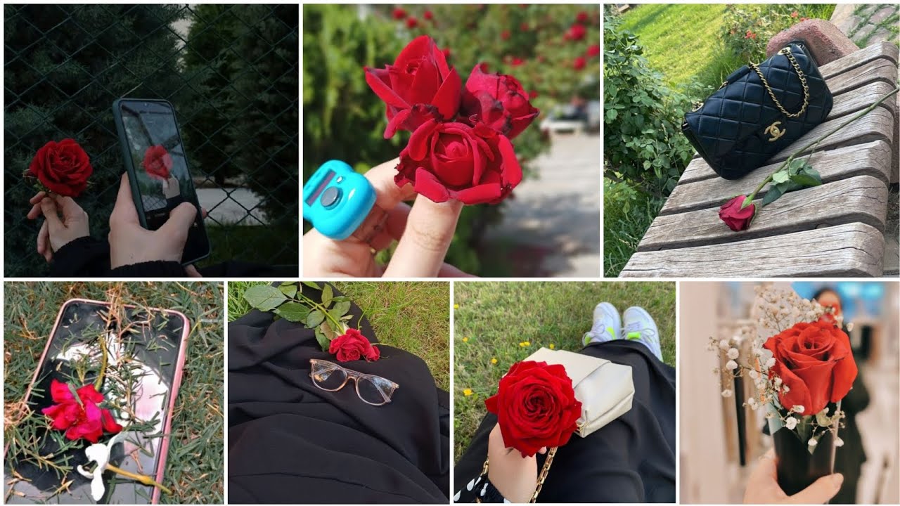 Face hide Girls dps with red rose | beautiful girl dps for Whatsapp Instagram| red rose dps no music