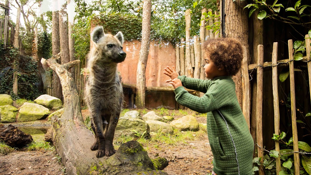 Beleef DierenPark Amersfoort: dé dierentuin voor kinderen