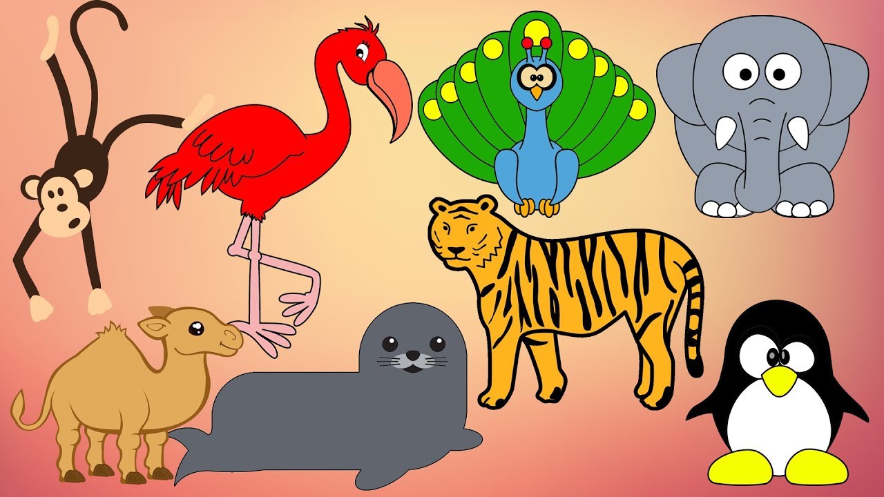 Zoo Animals 動物園