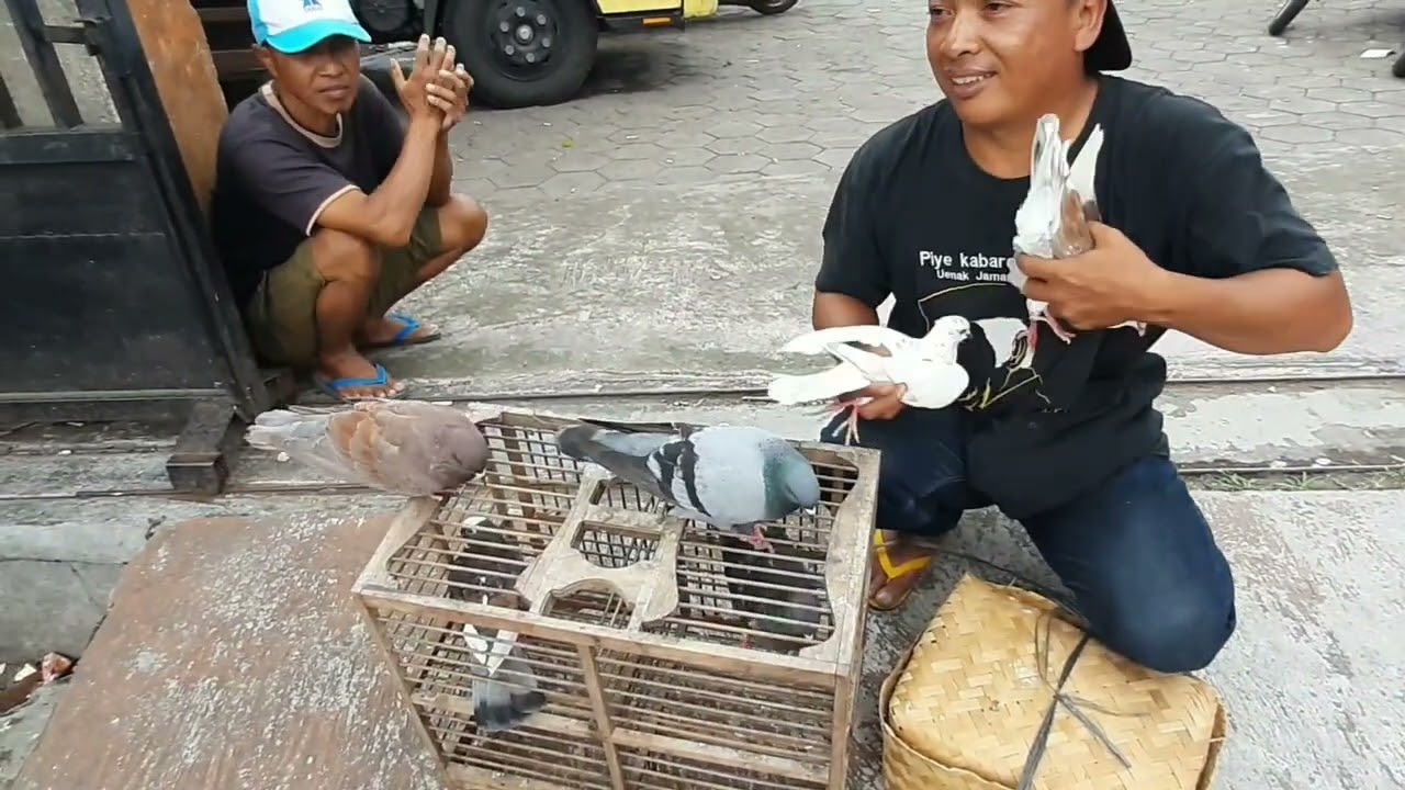 MERPATI PASAR MEKAR MUNTILAN.#2