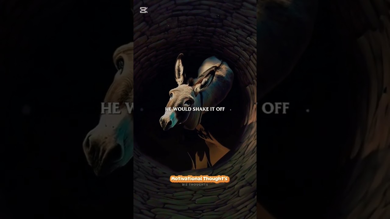 Prove Donkey Story..life changing... #motivation #like #success #mindset #gym#mrbeast #hardwork