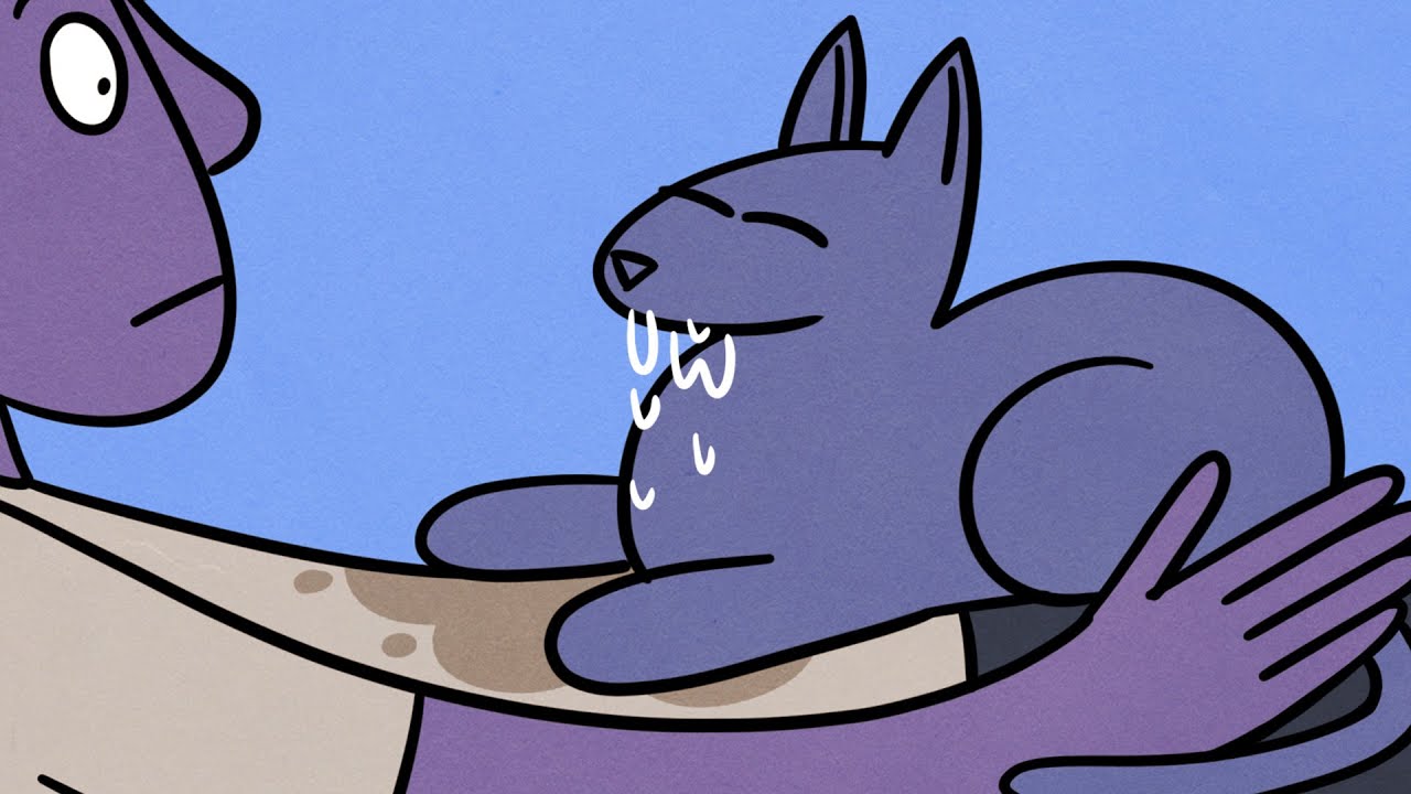 The Struggles Of Owning A Cat