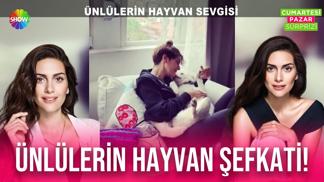 İçinizi ısıtacak görsellerle ünlülerin hayvan sevgisi!