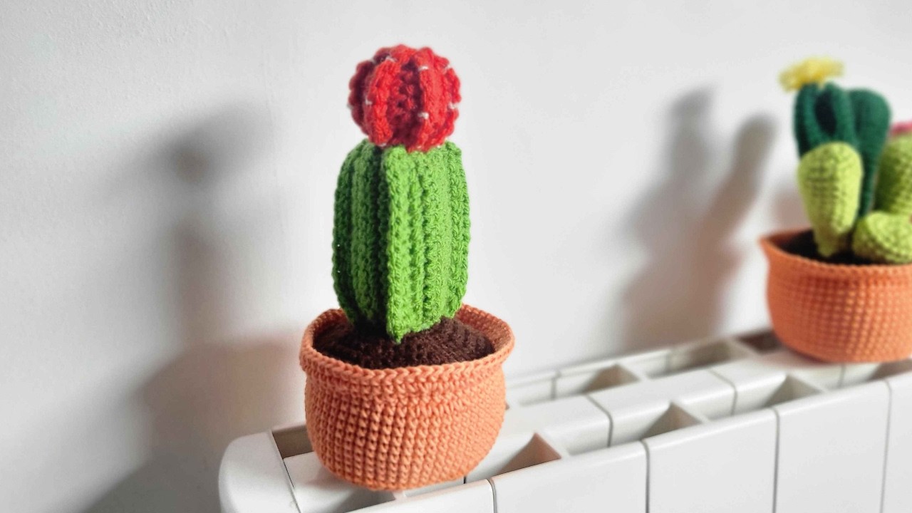 Crochet Moon Cactus step by step tutorial for beginners