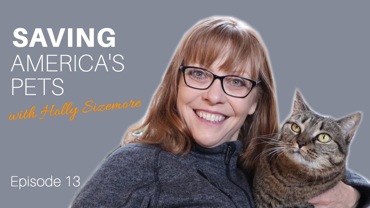 Lifesaving Bright Spots on Saving America&rsquo;s Pets