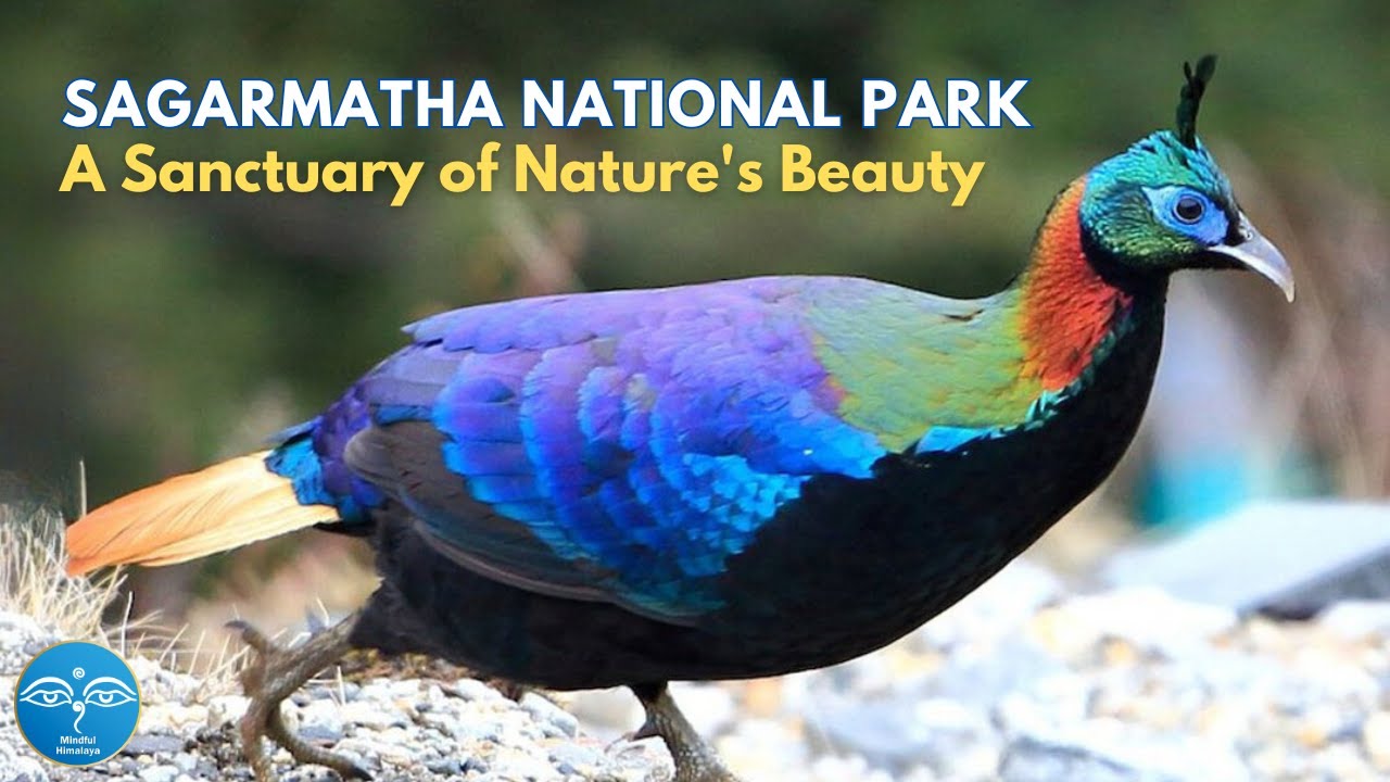 SAGARMATHA NATIONAL PARK: A Sanctuary of Nature's Beauty
