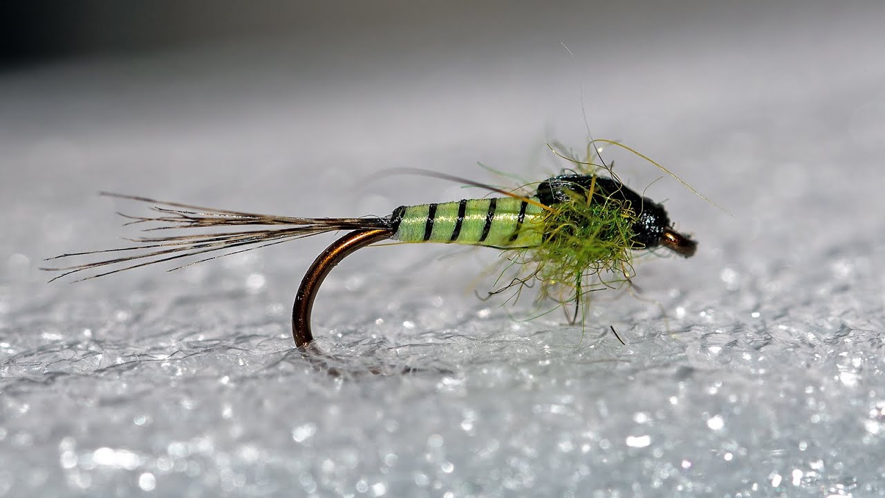 Fliegenbinden // Springer Nymphe #18