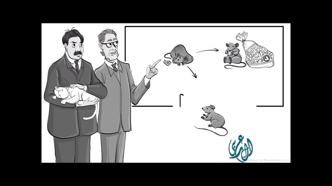 تجربة سكنر | الاشراط الإجرائي | B.F. Skinner | Operant Conditioning Theory