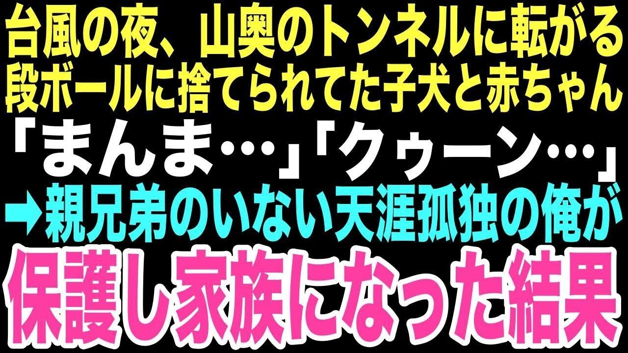 【感動する話】「まんま…」台風の夜、トンネルに捨てられたと段ボールで泣く赤ちゃんと子犬。俺が二人を助けると決めた日から、孤独だった俺が本当の家族の温もりを知るなんて思いもしなかった…【朗読】