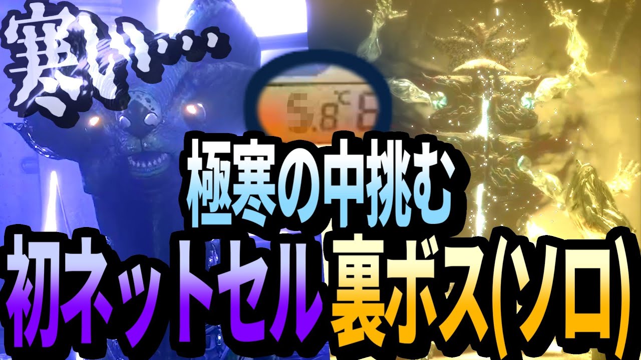 【Warframe】極寒の配信環境の中で挑む､初見ネットセル＆初ソロ裏ボスで衝撃の結末を迎える【配信切り抜き】