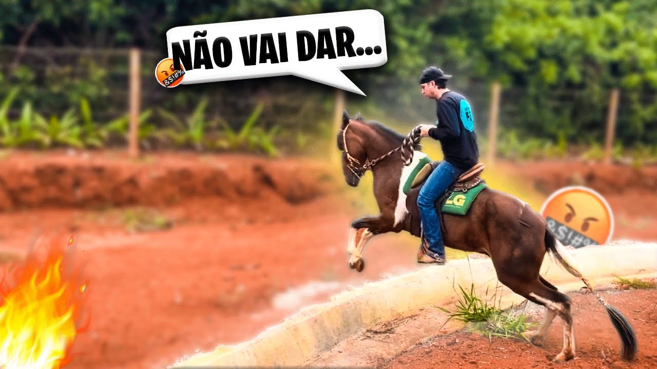 CAVALGADA COM O PAMPA DE MARCHA PICADA, teve pulo *