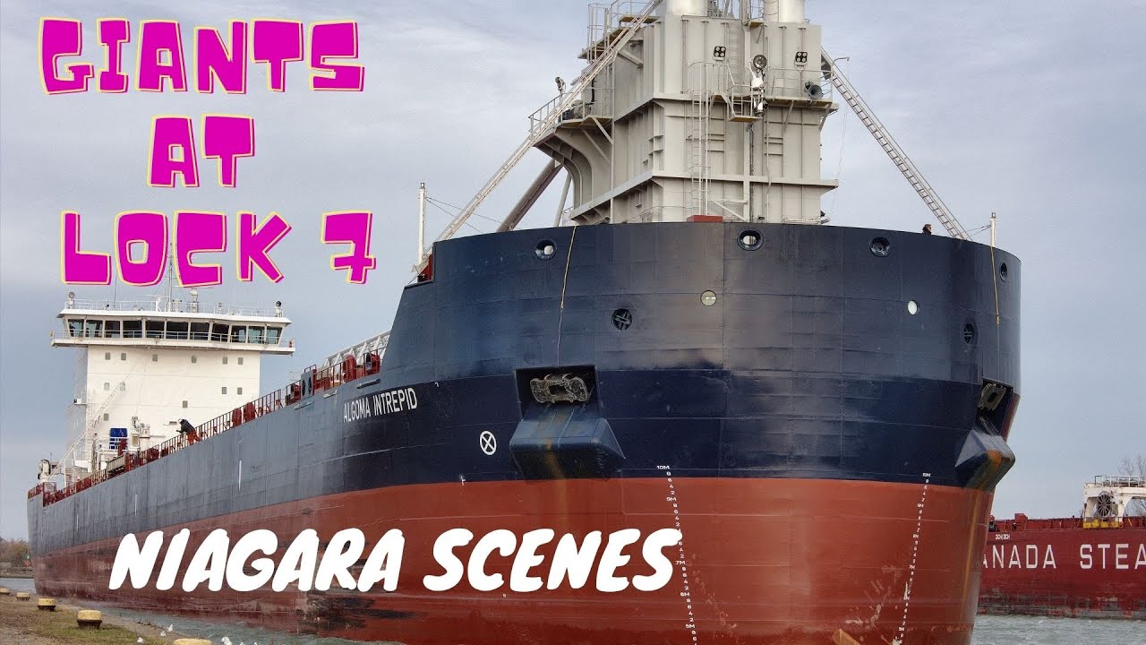 Self-Unloading Ships ALGOMA INTREPID and BAIE COMEAU Pass on the Welland Canal