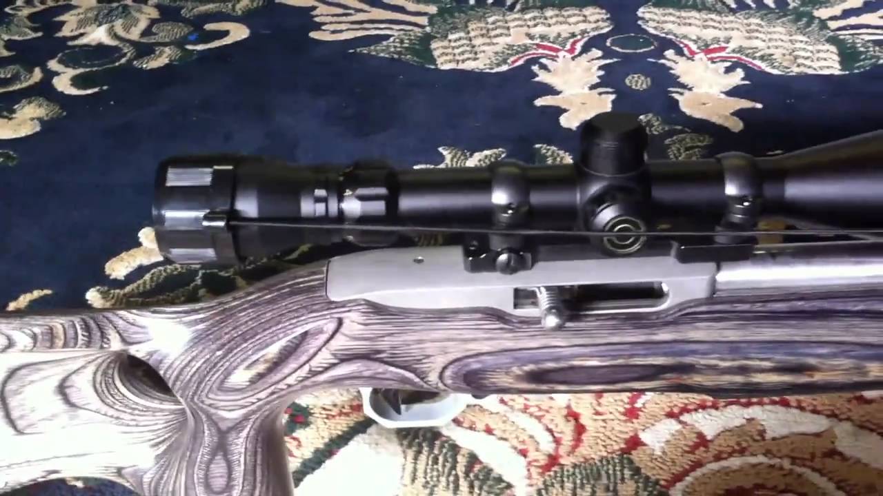 My Custom Ruger 10/22 Target Rifle