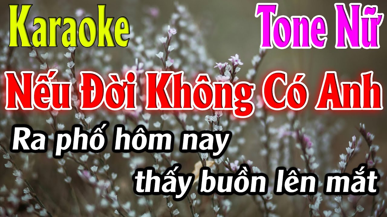 Nếu Đời Không Có Anh Karaoke Tone Nữ Karaoke Lâm Organ -Beat Mới