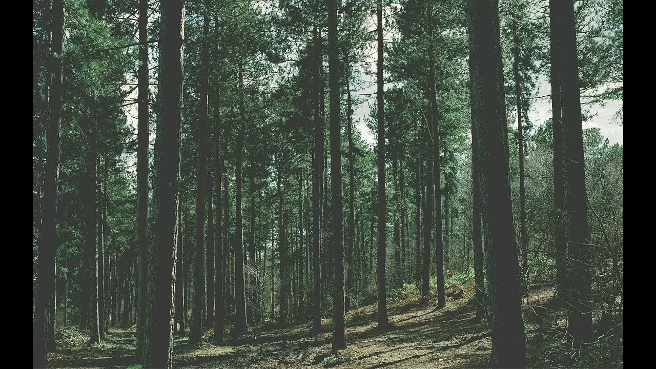 🎸 [FREE] Joji x alternative rock Type Beat - "heather"
