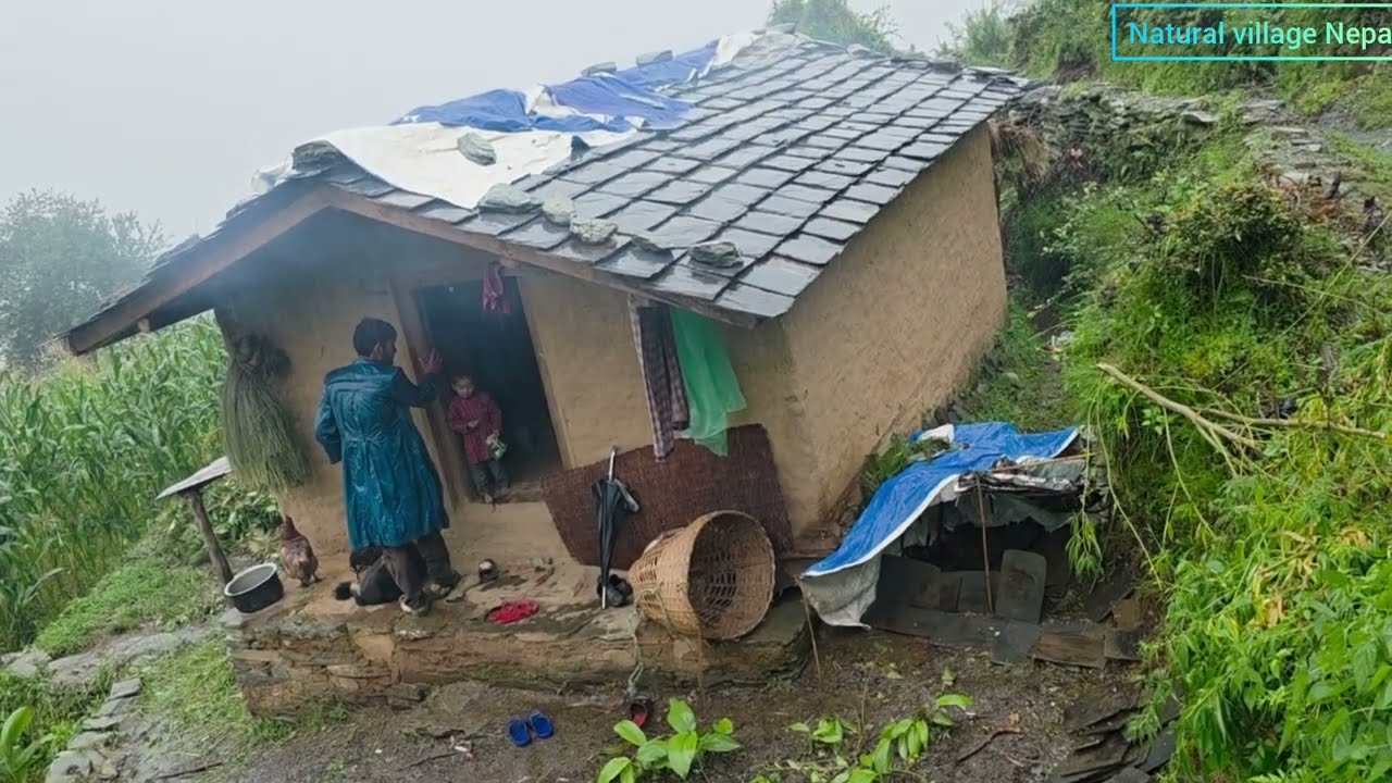 This is Himalayan village During the Heavy Rainy season | Daily activities people in village life ||