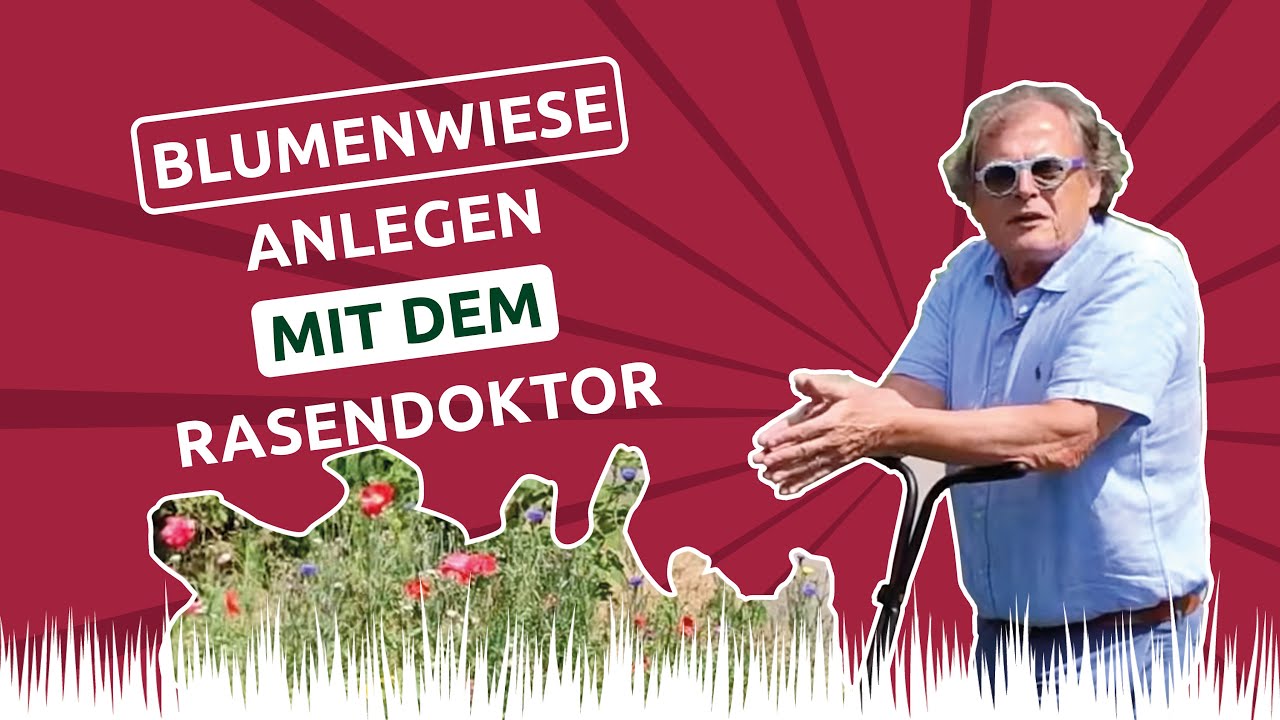 Blumenwiese anlegen mit dem Rasendoktor 🌸🌼🌷