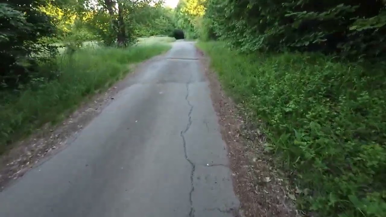 Vom Steinbruch Hermannstein nach Niedergirmes am 19.05.2025