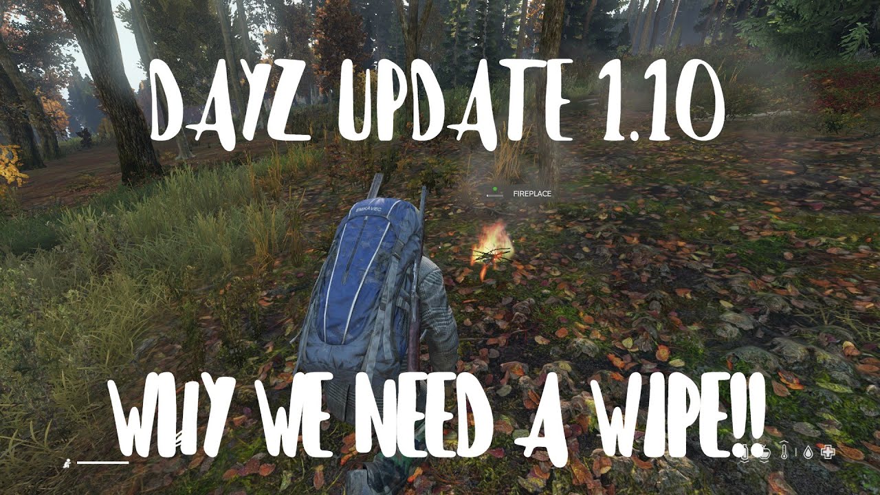 DayZ 1.10 Update / No Wipe? Here's why we need one!! Xbox One, Playstation,
