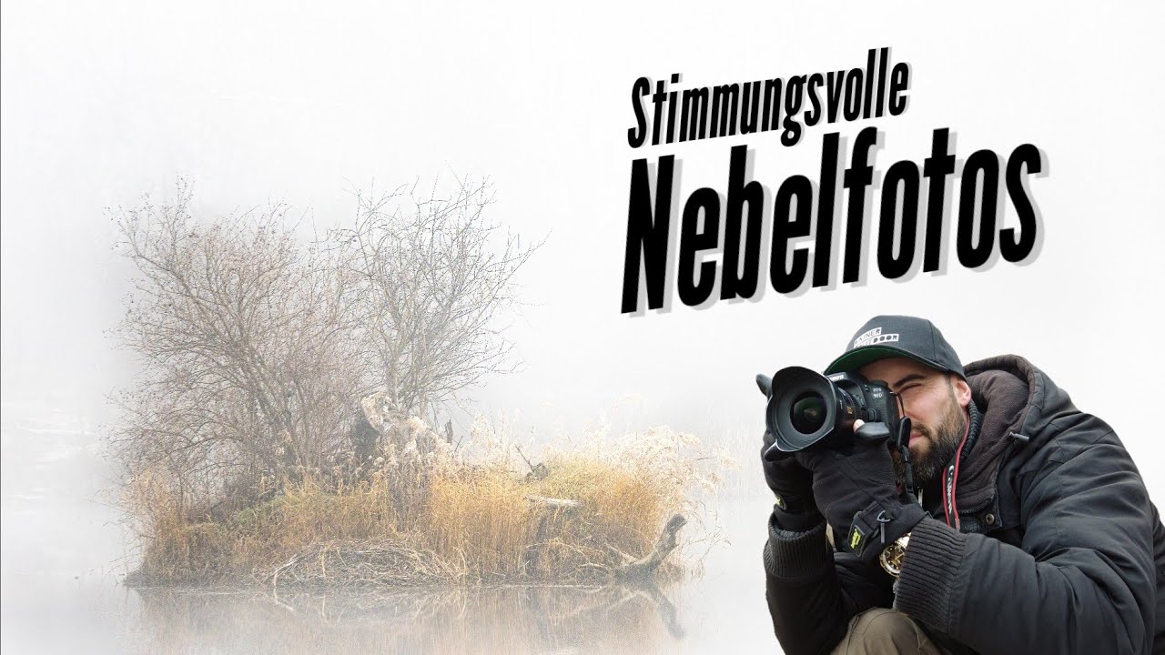 Landschaftsfotografie: Stimmungsvolle Nebelfotos in der Lobau