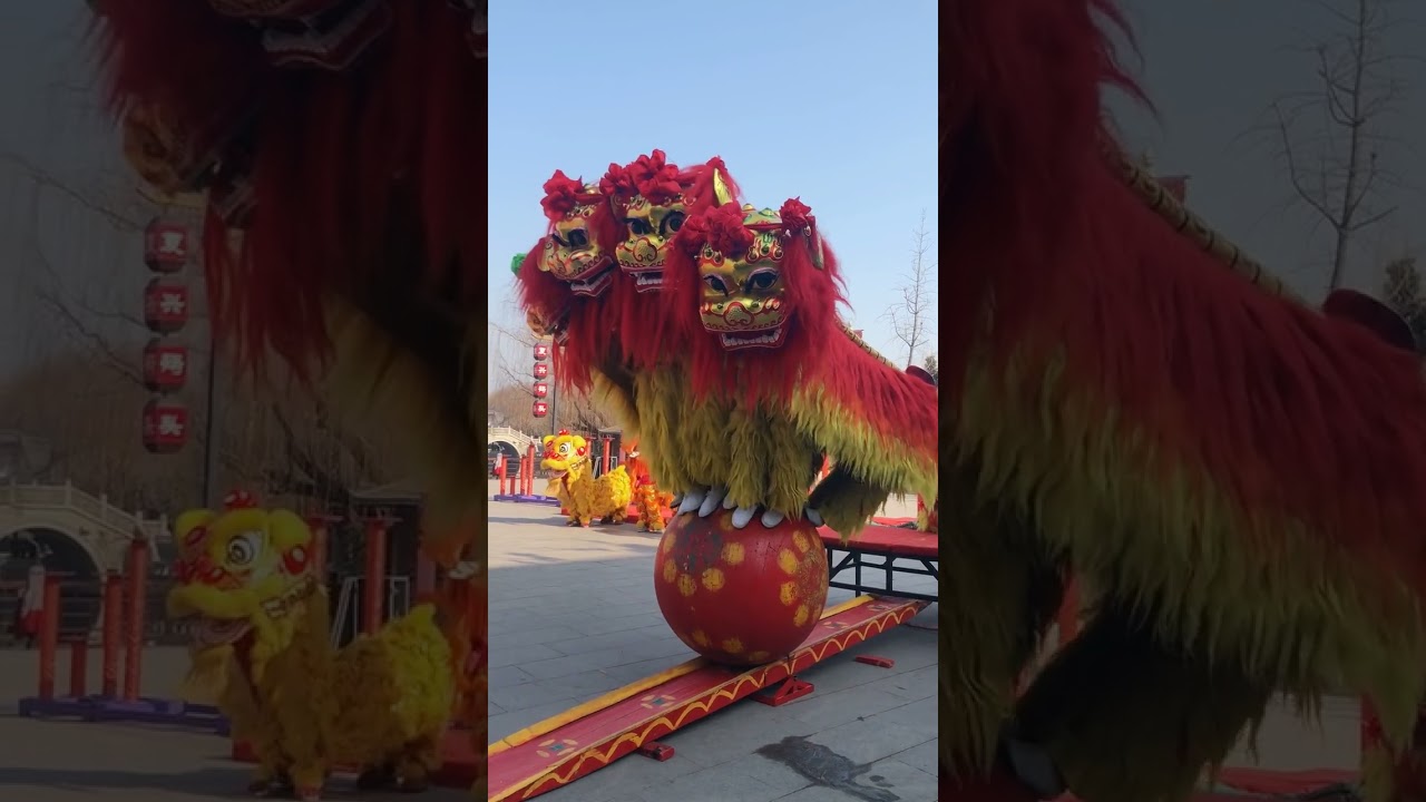 舞龙 #舞狮 #神韵龙狮艺术团 # 1