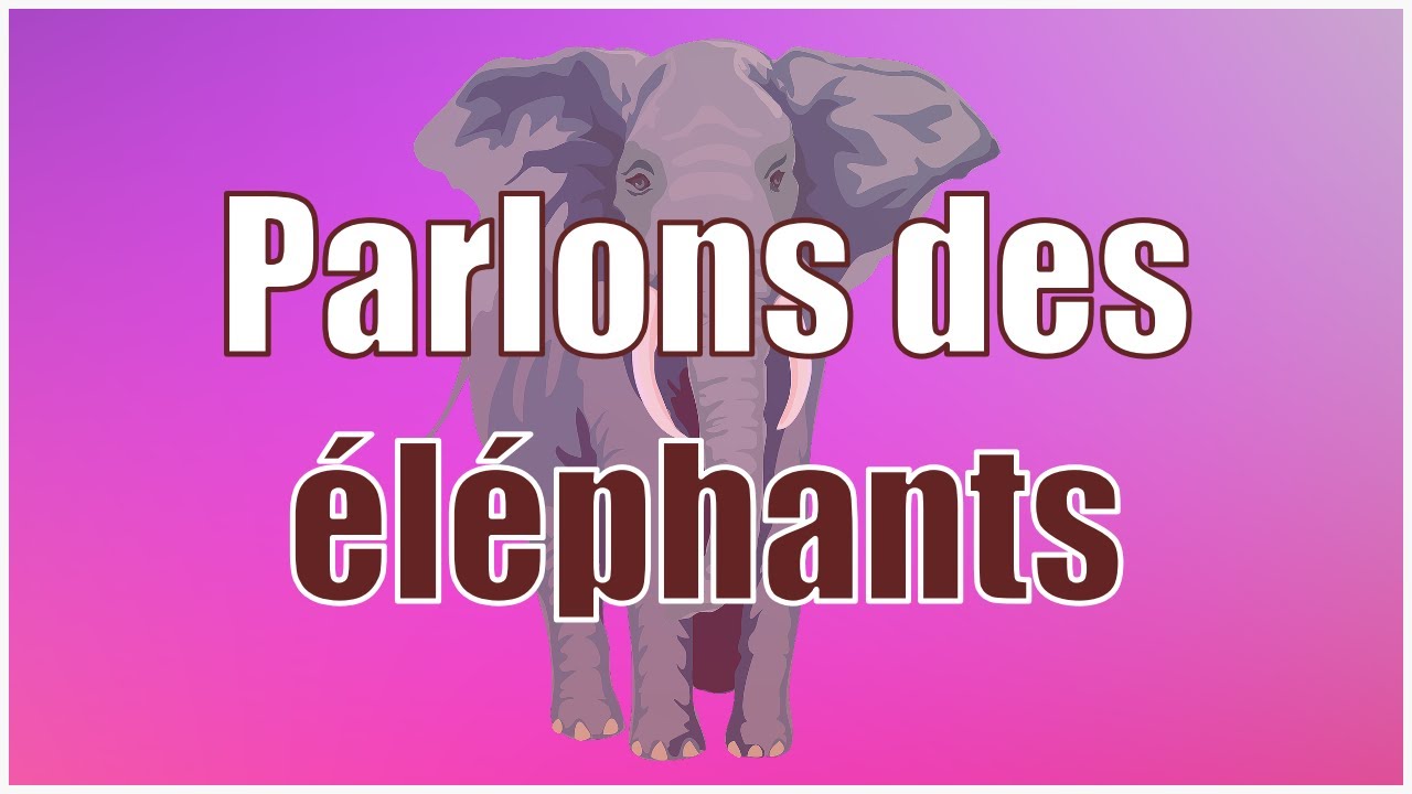 🗣️ Parlons des éléphants - Dialogue interactif pour apprendre le français ! 🎭🔹