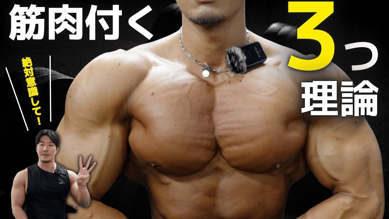【カンタン解説】筋肉を効果的にデカくする「たった３つ」の本質的メソッド
