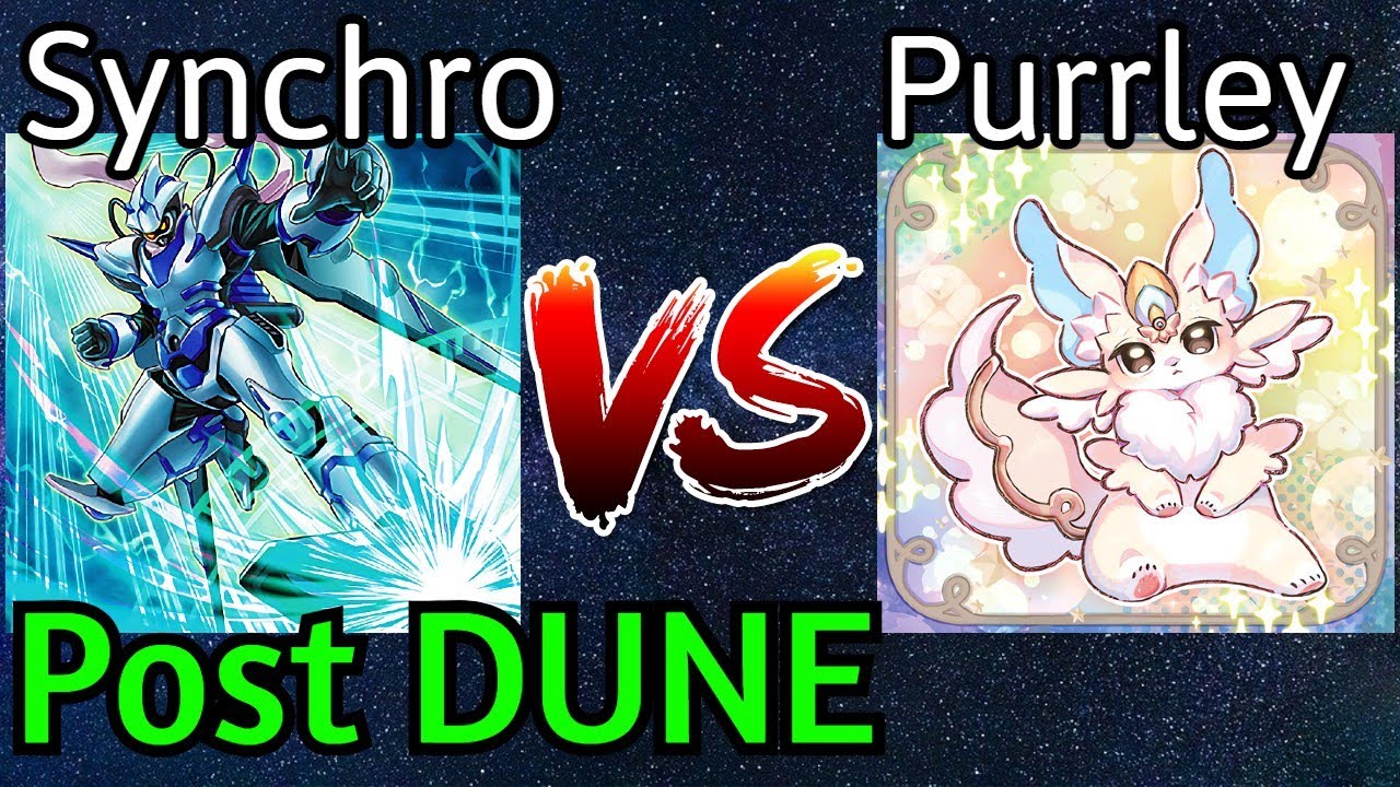 Synchro Vs Purrely Post DUNE Yu-Gi-Oh!