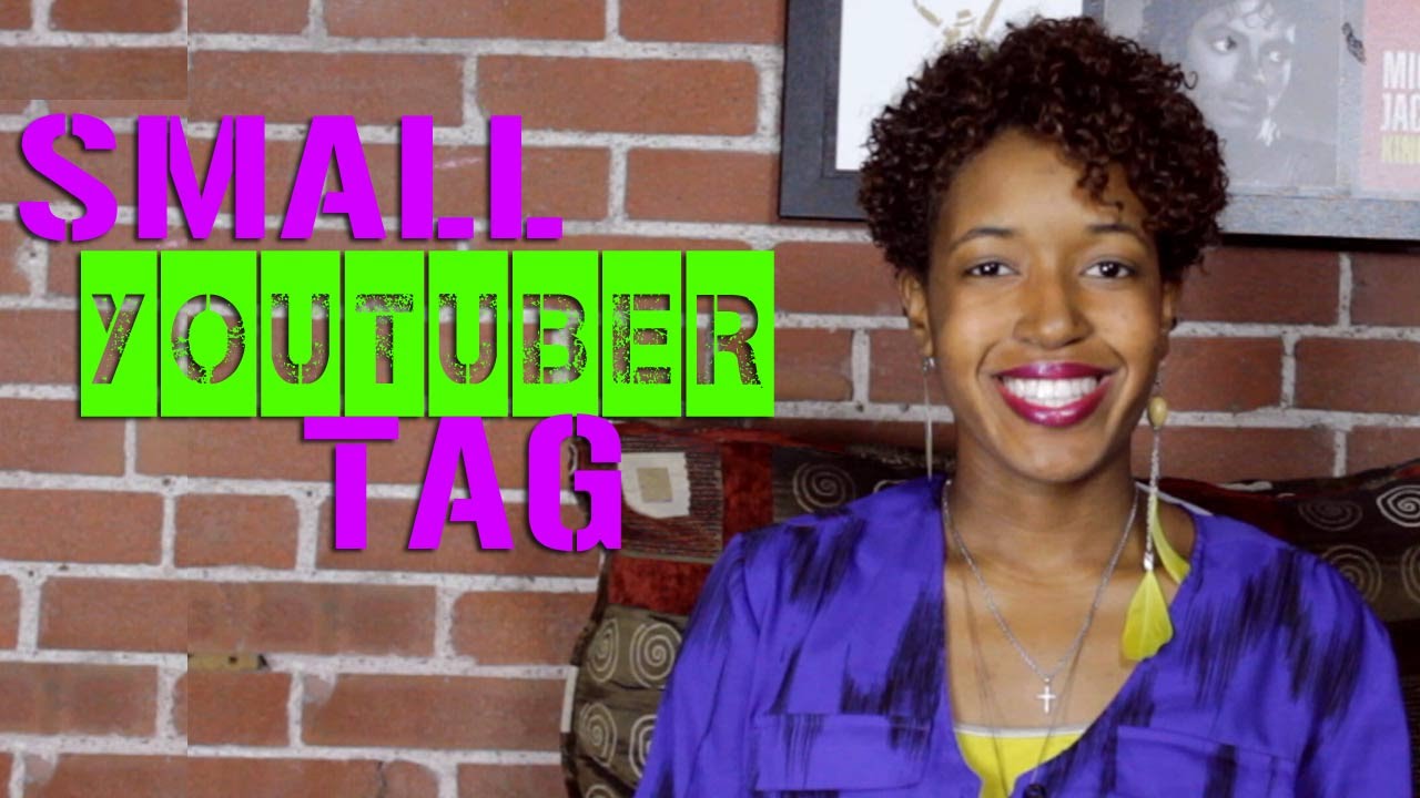 Small Youtuber Tag | Who Gave You The Mic Edition