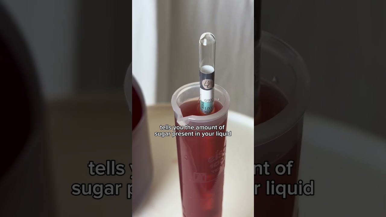 ALCOHOL CONTENT OF HOMEMADE WINE?