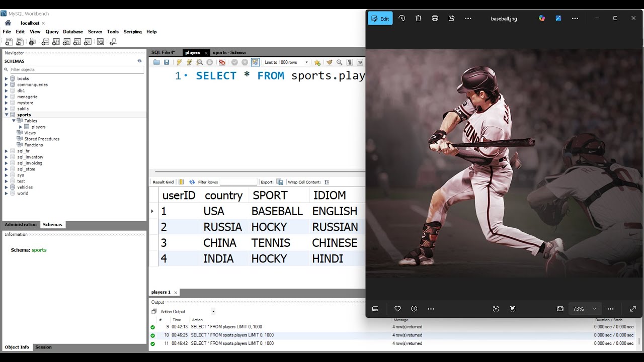 Creating the Sports Database and the Players Table using SQL queries and JDBC - Java