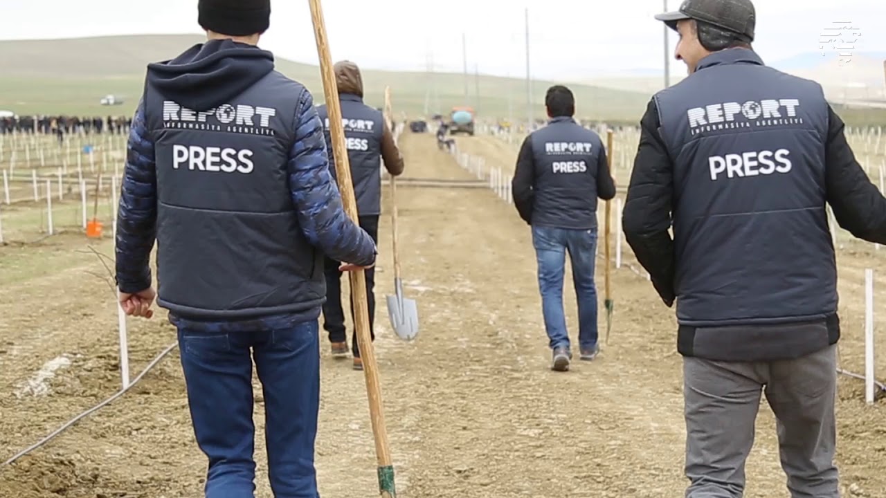 &ldquo;Report&rdquo; İnformasiya Agentliyi ağacəkmə aksiyasında iştirak edib