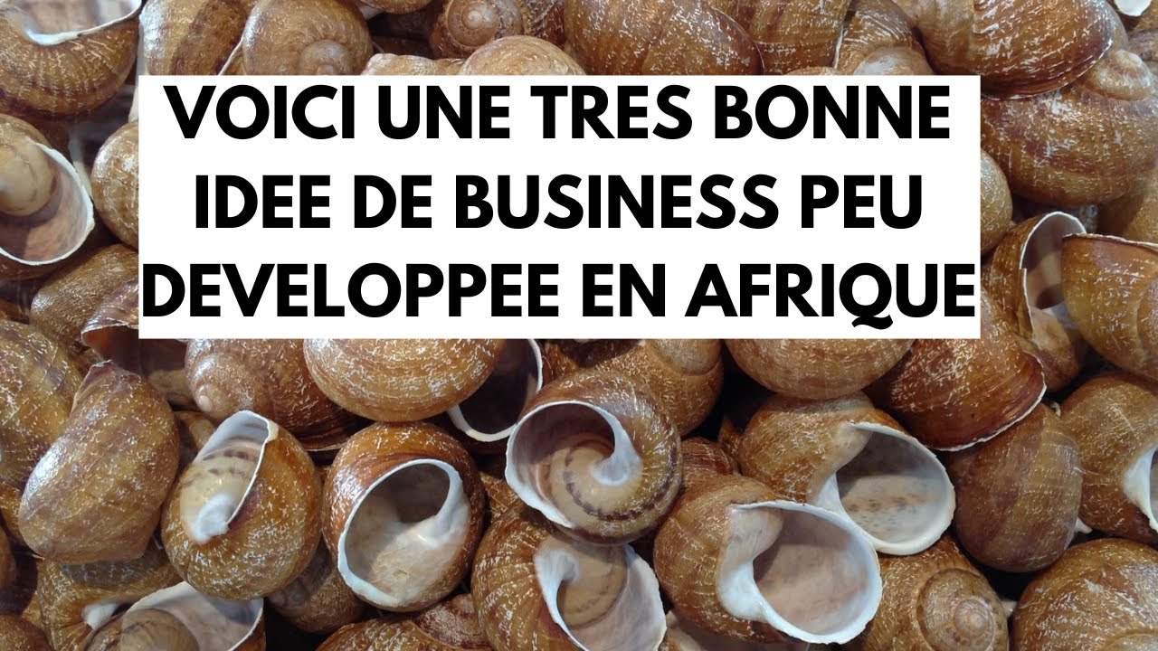 Transformation des Coquilles d'Escargots en Poudre: Un Business Très Peu Développé en Afrique