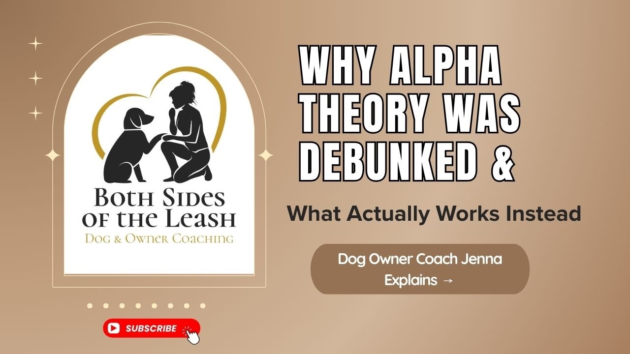 Why Alpha Theory was Debunked & What Actually Works Instead