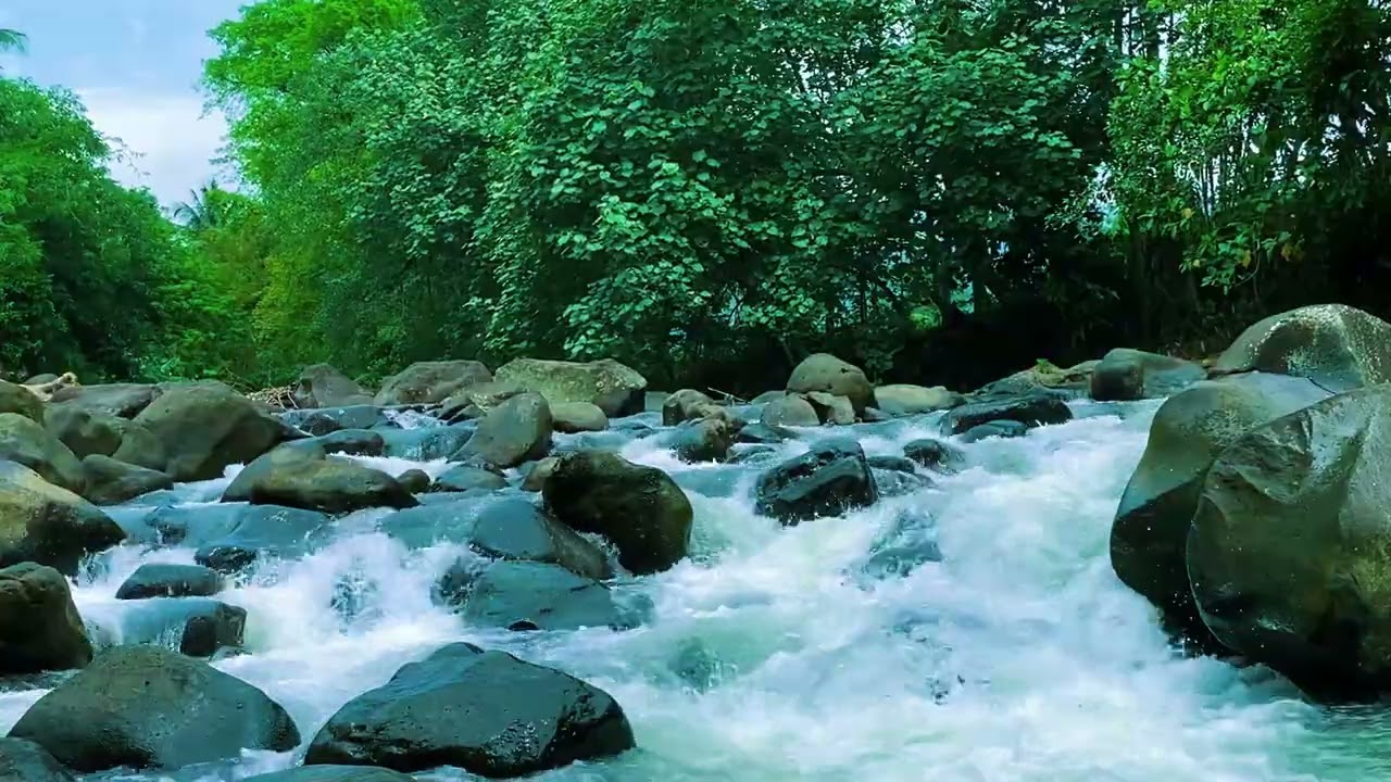 Natural River Sounds 🌊 Heal Your Mind | Deep Sleep & Mental Calm