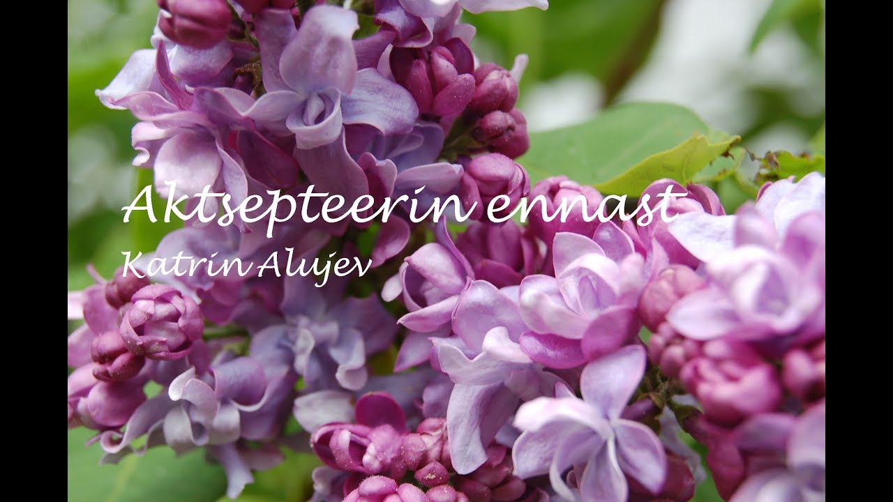 Aktsepteerin ennast
