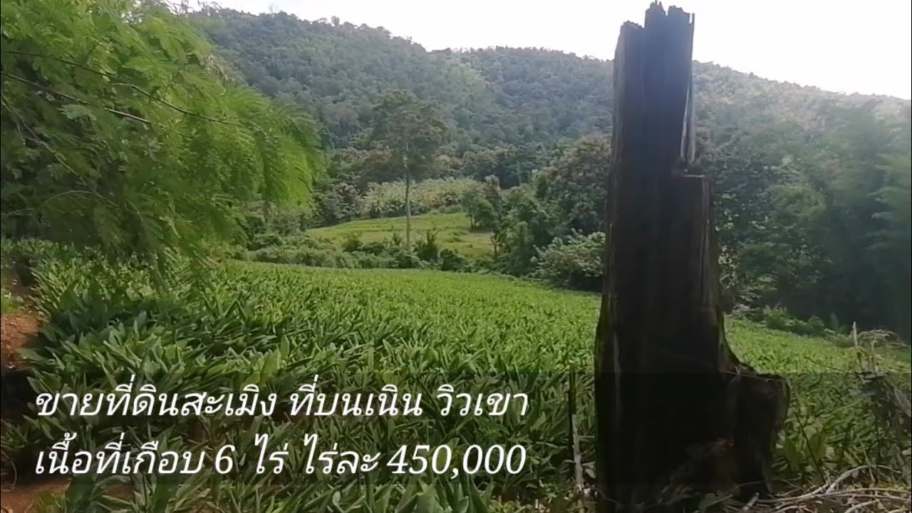 (ขายแล้วค่ะ)​ขายที่ดินสะเมิง ที่เนิน วิวเขา ติดน้ำ ติดถนน เกือบ 6 ไร่ไร่ละ 450,000​  จ.เชียงใหม่​