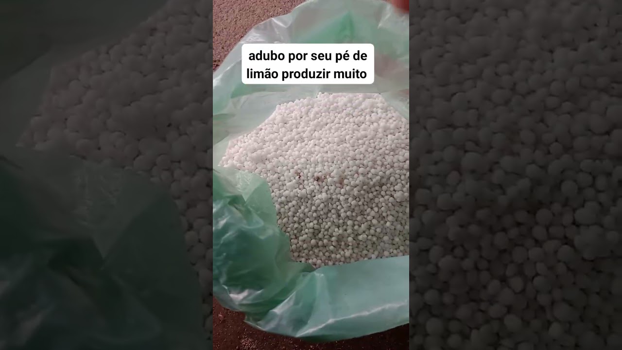 adubo por seu p&eacute; de lim&atilde;o produzir muito