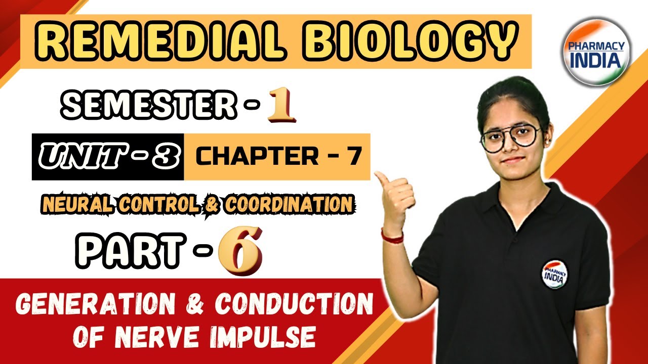 Generation & Conduction of Nerve Impulse | UNIT-3 | CH-7 | PART-6 | SEMESTER -1 | REMEDIAL BIOLOGY
