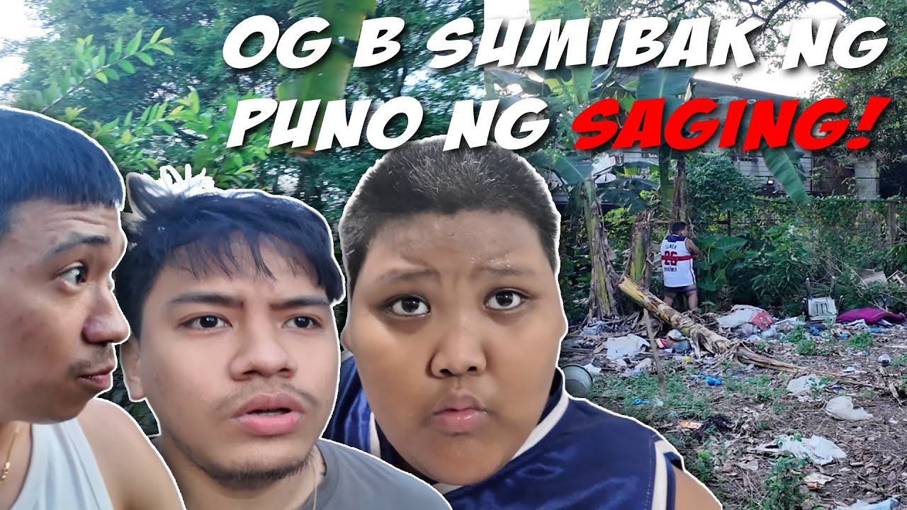OG B May Ginagawa sa Puno ng S4GING! 