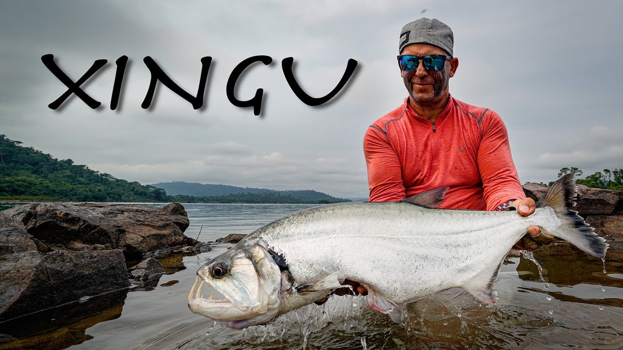XINGU
