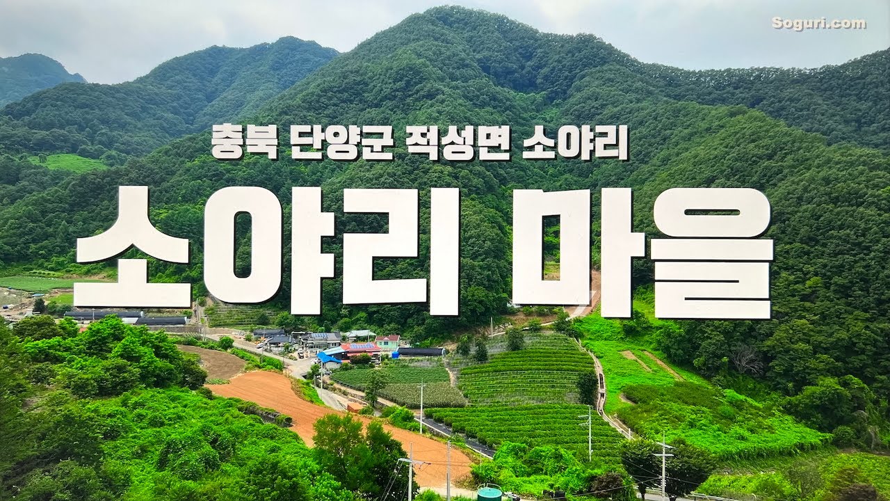 충북 단양군 적성면 소야리마을 여름풍경 - 20250706