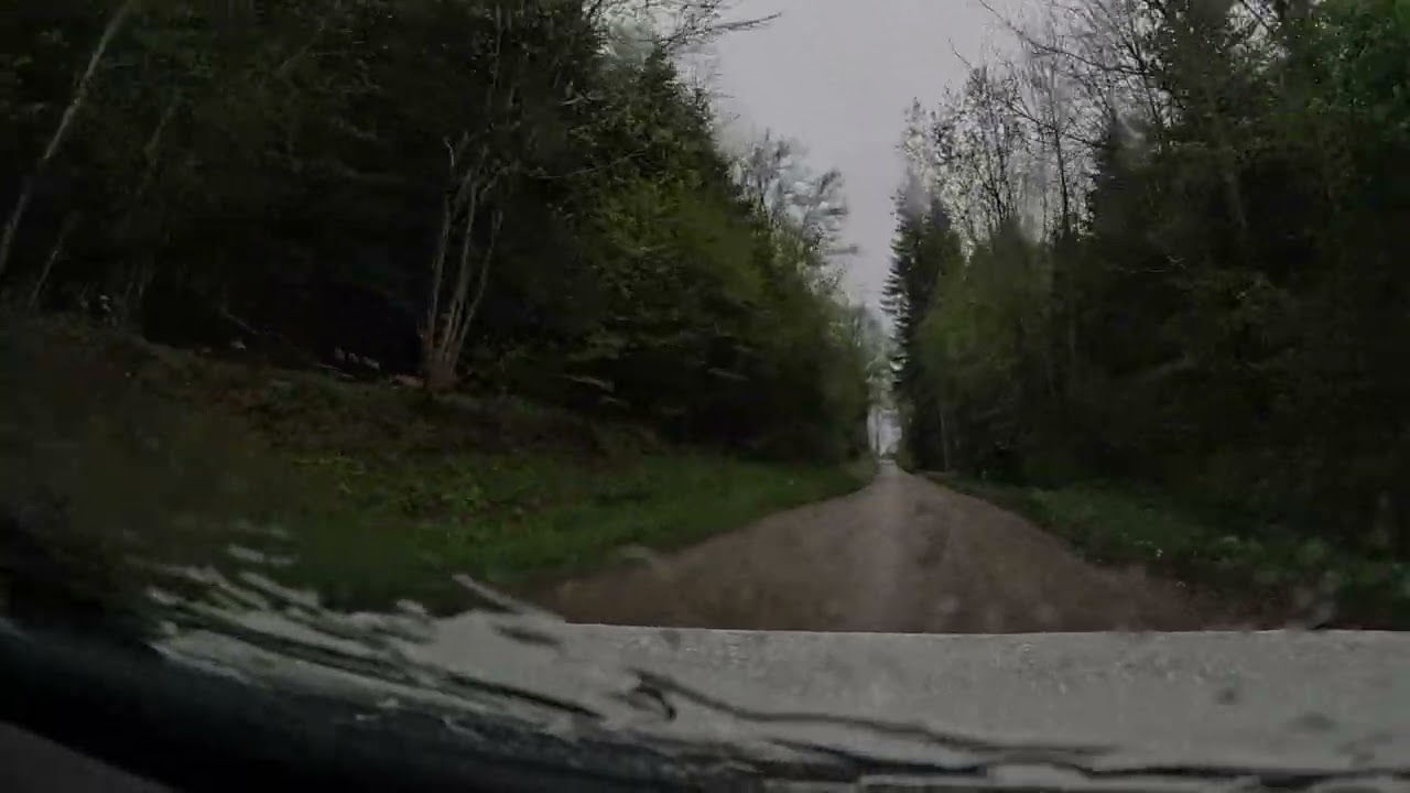 Montée Historique de Bolandoz 2024 - Caillet Jordan - Peugeot 205 Rallye